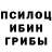 Псилоцибиновые грибы Psilocybe Andrey Shlapakov