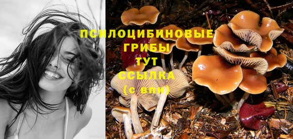 а пвп мука Алзамай