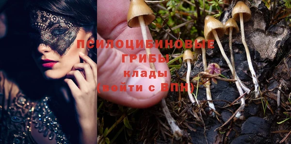 а пвп мука Алзамай